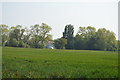 Field, edge of New Romney