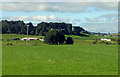 Priestlands Farmland View