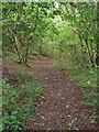 Footpath round Cothill Fen