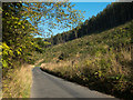 Recently cleared Cowhouse Wood