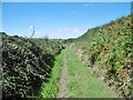 Wood Street, bridleway