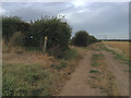 TR3156 : Footpath junction south of Grove Manor Farm by Hugh Craddock