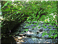 SE2837 : Weir on the Meanwood Beck by Stephen Craven
