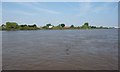 The River Ouse at Water Lane, Hook