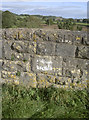 Station road railway bridge benchmark