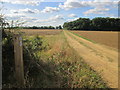 Path due west to the south of Olives Farm