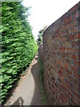 Avon Way with serpentine wall, Pershore, Worcestershire