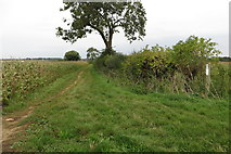 SP6134 : Bridleway to Westbury Mill by Philip Jeffrey