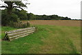 Path junction with Park Thorn beyond