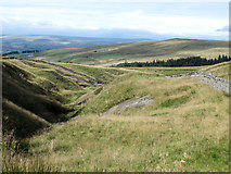 NY7642 : The cleugh of Brown Gill by Mike Quinn