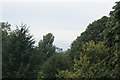 View of a new block of apartments off Green Dragon Lane, Brentford from The Hive