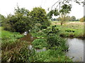 TL9369 : Millpond at Pakenham Water Mill by Geographer