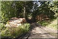 Log piles near Candercraig House