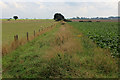 Bridleway heading towards Bilton-in-Ainsty