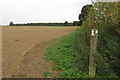 Bridleway to Park Thorns