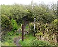 Footpath by the Cornish Main Line