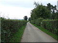 Lane near Moss Farm