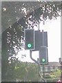 UK Puffin Crossing