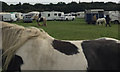 SP2970 : Caravans, piebalds and people, Kenilworth Horse Fair by Robin Stott