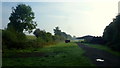 Early morning farming scene, 1