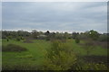 Rough grassland, Stanford-le-Hope