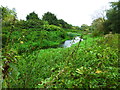 Stream adjacent to Brookland Lake Snodland