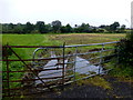 A muddy field, Botera Upper