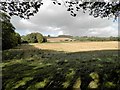 Farmland at Pitpointie