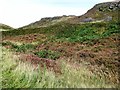 J1313 : Bracken infestation at the southern approach to the Windy Gap by Eric Jones