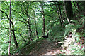 Path and woods above Southcott Farm