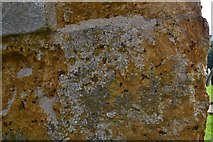 TF0889 : Middle Rasen, St. Peter's Church: Badly weathered brown ironstone in a tower buttress by Michael Garlick