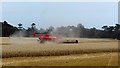 Harvest Time - St. Andrews