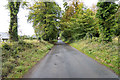 R8284 : Minor lane north of Ballyartella by David P Howard