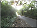 Bradmore Lane, Water End