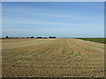 TA0964 : Stubble field off National Cycle Route 1 by JThomas