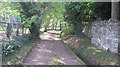 Footpath adjacent to a small stream