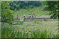 SR9694 : The Stackpole Lily Ponds by Alan Hunt