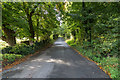 R8688 : Minor lane near Woodpark by David P Howard