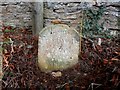 Inscribed Roadside Stone in Wilsic