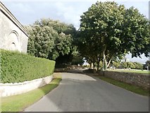 SK5697 : Wadworth Hall Lane in Wadworth by Jonathan Clitheroe