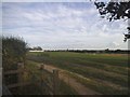 Field by Hawkshead Lane, Brookmans Park