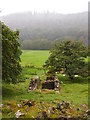 Ruined Agricultural Building, Dolfawr