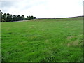 Farmland north of Agglethorpe