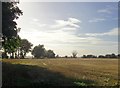 Farmland west of Brenzett church, late September