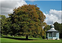 SK3387 : Bandstand and tree in Weston Park, Sheffield by Neil Theasby