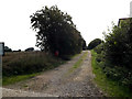 TM1389 : Narrow Lane footpath to Slough Lane & Pristow Green Lane by Geographer