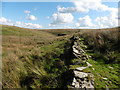 SS7338 : View towards Comerslade by Roger Cornfoot