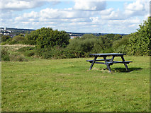 SU4311 : Picnic table, Peartree Green by Robin Webster