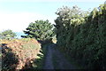 SV9112 : A typical lane on Scilly by Andrew Abbott