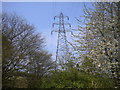 Electricity pylon west of Radley Lane